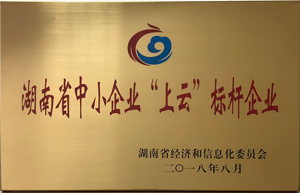 湖南省中小企業(yè)“上云”標桿企業(yè)